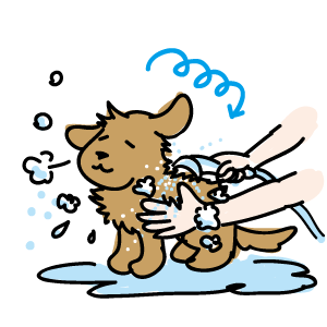 犬のしつけ/なかよし