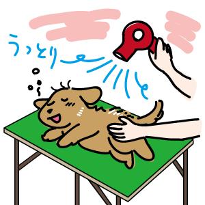 犬のしつけ/役目